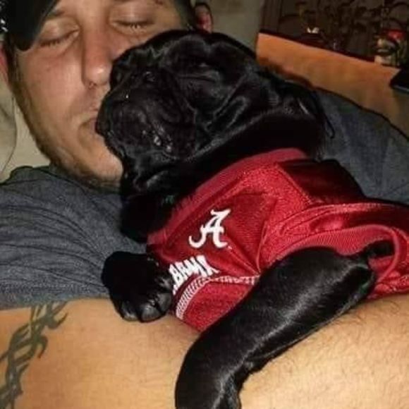 Meet your Posher, Shawn - Picture 1 of 1